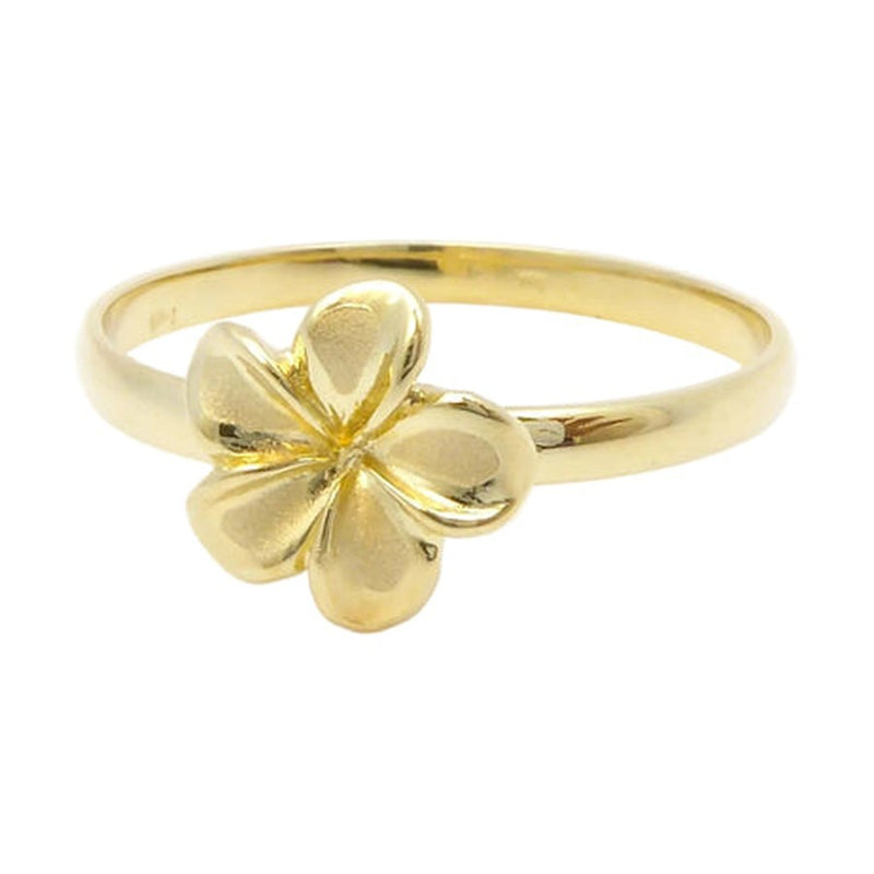 Ashley's Gift Shop homepage — ash-motif-plumeria.jpg