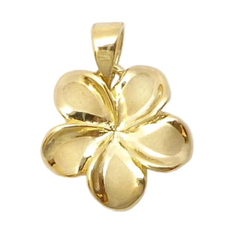 Ashley's Gift Shop homepage — ash-p-14k-gold-plumeria-pendant-3.jpg